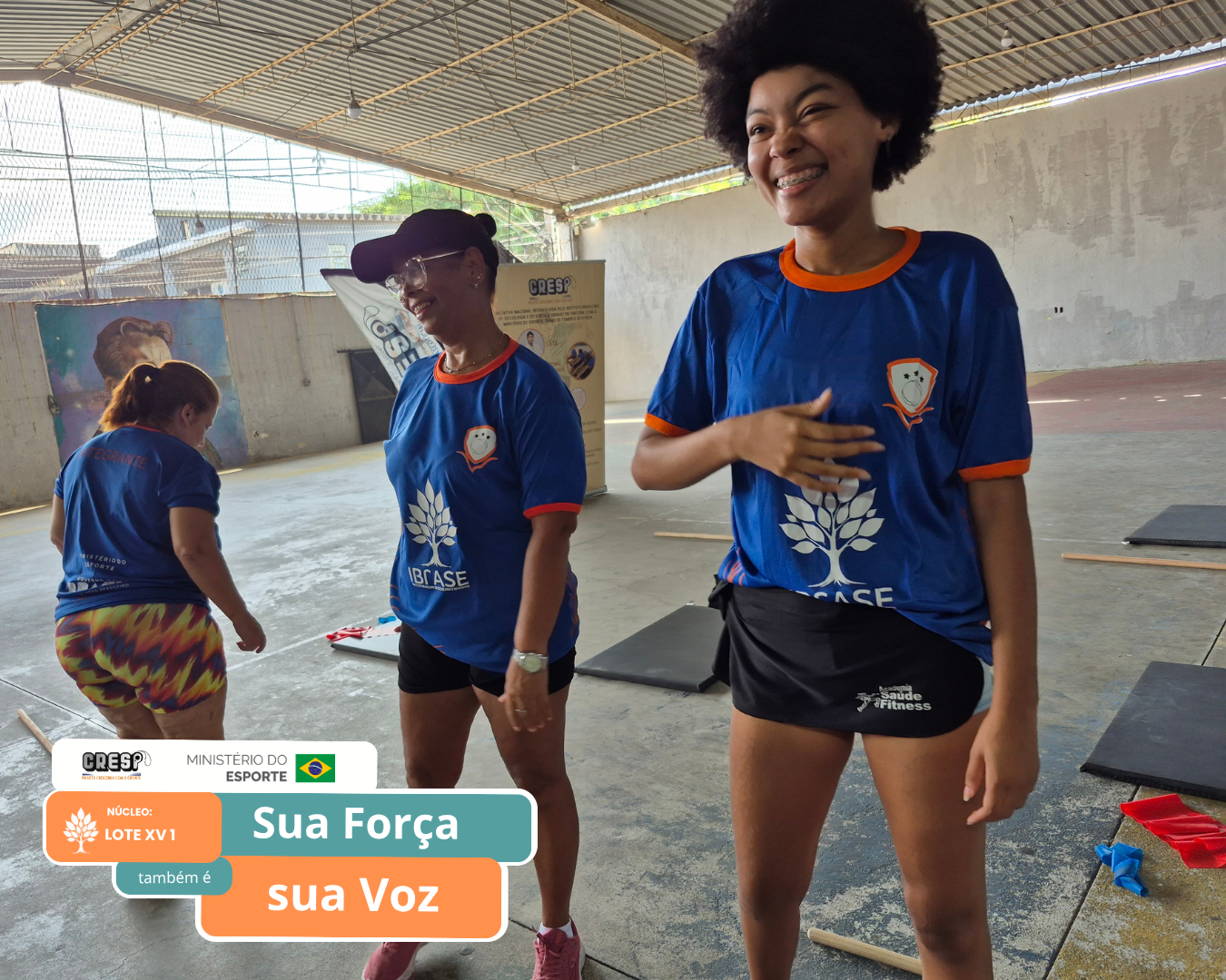 Lote XV 1